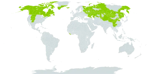 Lomatogonium rotatum world distribution map, present in Canada, China, Greenland, Iceland, Kazakhstan, Kyrgyzstan, Liberia, Mongolia, Russian Federation, and United States of America