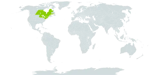 Lonicera hirsuta world distribution map, present in Canada and United States of America