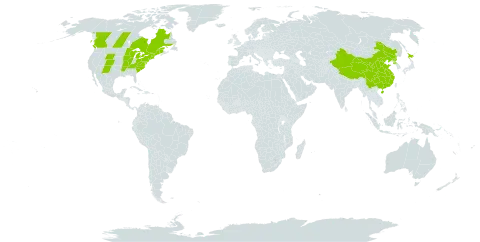 Lonicera morrowii world distribution map, present in Canada, China, Japan, Korea (Democratic People's Republic of), and United States of America