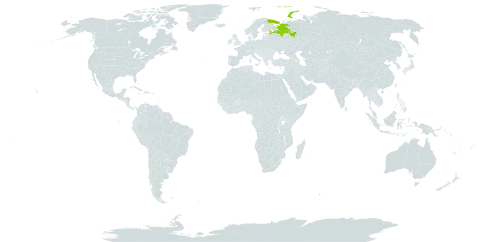 Lotus dvinensis world distribution map, present in Russian Federation