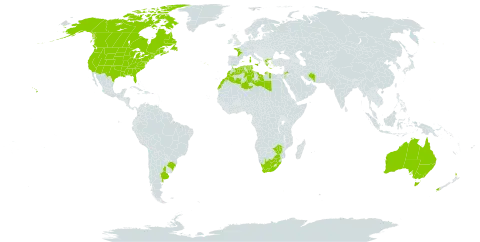 Lotus hispidus world distribution map, present in Argentina, Australia, Brazil, Canada, Algeria, Spain, France, Greece, Iran (Islamic Republic of), Italy, Jordan, Libya, Morocco, New Zealand, Portugal, Tunisia, United States of America, South Africa, and Zimbabwe