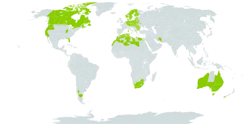 Lotus pedunculatus world distribution map, present in Albania, Argentina, Australia, Austria, Belgium, Bulgaria, Belarus, Canada, Czech Republic, Germany, Denmark, Algeria, Egypt, Estonia, Finland, France, Faroe Islands, Greece, Hungary, Iran (Islamic Republic of), Italy, Libya, Lithuania, Latvia, Morocco, Netherlands, Norway, New Zealand, Poland, Portugal, Réunion, Romania, Russian Federation, Slovakia, Sweden, Tunisia, Ukraine, Uruguay, United States of America, and South Africa