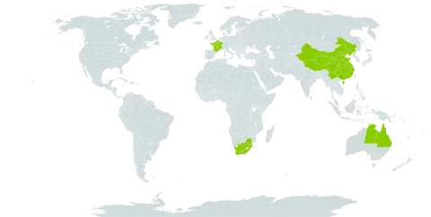 Ludwigia adscendens world distribution map, present in Australia, China, France, and South Africa