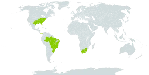 Ludwigia leptocarpa world distribution map, present in Brazil, Panama, United States of America, and South Africa