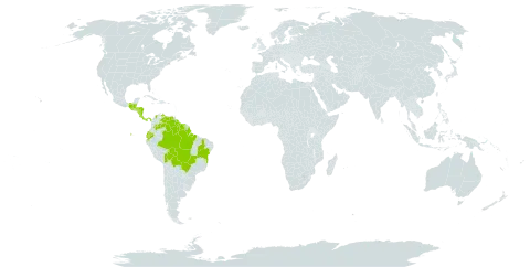 Ludwigia rigida world distribution map, present in Belize, Bolivia (Plurinational State of), Brazil, Colombia, Costa Rica, Ecuador, Guatemala, Guyana, Honduras, Mexico, Nicaragua, Panama, Suriname, and Venezuela (Bolivarian Republic of)