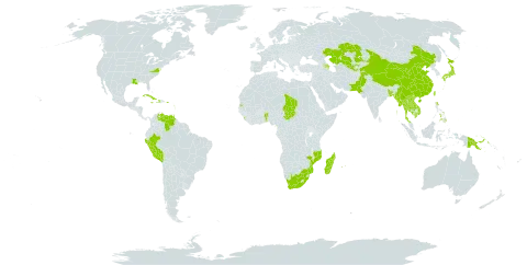 Luffa acutangula world distribution map, present in Antigua and Barbuda, Azerbaijan, Benin, Burkina Faso, Bangladesh, China, Cuba, Dominica, Guadeloupe, Equatorial Guinea, Guam, Haiti, India, Jamaica, Japan, Kazakhstan, Cambodia, Lao People's Democratic Republic, Sri Lanka, Madagascar, Myanmar, Mozambique, Martinique, Mauritius, Pakistan, Peru, Philippines, Palau, Papua New Guinea, Puerto Rico, Réunion, Seychelles, Chad, Thailand, Tajikistan, Trinidad and Tobago, Taiwan, Province of China, United States of America, Uzbekistan, Venezuela (Bolivarian Republic of), Viet Nam, and South Africa