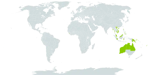 Lumnitzera littorea world distribution map, present in Australia, Brunei Darussalam, China, Fiji, Micronesia (Federated States of), Guam, Indonesia, Cambodia, Kiribati, Sri Lanka, Maldives, Marshall Islands, Myanmar, Malaysia, Philippines, Palau, Papua New Guinea, Singapore, Tonga, Tuvalu, United States of America, and Viet Nam