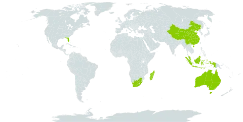 Lumnitzera world distribution map, present in Australia, China, Indonesia, Madagascar, Malaysia, United States of America, and South Africa