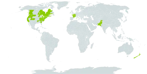 Lunaria annua world distribution map, present in Canada, France, New Zealand, Pakistan, and United States of America