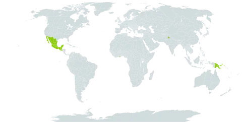 Lupinus mexicanus world distribution map, present in Ghana, Guatemala, India, Mexico, Papua New Guinea, and El Salvador