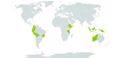 Lupinus mutabilis world distribution map, present in American Samoa, Australia, Bolivia (Plurinational State of), Brazil, Colombia, Ecuador, Ethiopia, Indonesia, Peru, Papua New Guinea, and Tanzania, United Republic of