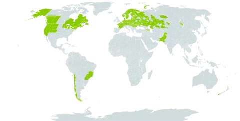 Lupinus polyphyllus world distribution map, present in Armenia, Austria, Azerbaijan, Belarus, Brazil, Canada, Switzerland, Chile, Czech Republic, Germany, Denmark, Estonia, Finland, France, Hungary, Kazakhstan, Lithuania, Latvia, Moldova (Republic of), Mongolia, Netherlands, Norway, New Zealand, Pakistan, Poland, Romania, Russian Federation, Slovakia, Sweden, Ukraine, and United States of America