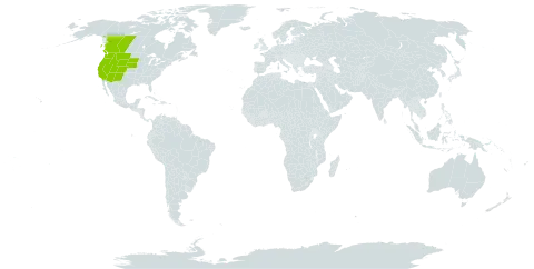 Lupinus sericeus world distribution map, present in Canada and United States of America