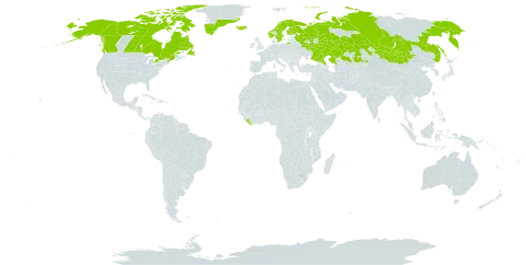 Luzula confusa world distribution map, present in Canada, Finland, Greenland, Iceland, Kazakhstan, Liberia, Mongolia, Norway, Russian Federation, Sweden, and United States of America