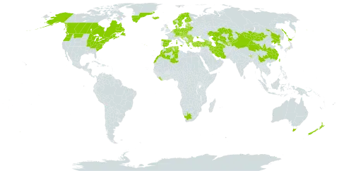 Luzula multiflora subsp. multiflora world distribution map, present in Albania, Andorra, Armenia, Australia, Austria, Azerbaijan, Belgium, Bulgaria, Bosnia and Herzegovina, Belarus, Bhutan, Canada, Switzerland, China, Czech Republic, Germany, Denmark, Algeria, Spain, Estonia, Finland, France, United Kingdom of Great Britain and Northern Ireland, Georgia, Greece, Greenland, Croatia, Hungary, India, Iran (Islamic Republic of), Iceland, Italy, Japan, Kazakhstan, Kyrgyzstan, Liberia, Liechtenstein, Lithuania, Luxembourg, Latvia, Morocco, North Macedonia, Malta, Montenegro, Mongolia, Netherlands, Norway, Nepal, New Zealand, Poland, Korea (Democratic People's Republic of), Portugal, Romania, Russian Federation, Saint Pierre and Miquelon, Serbia, Slovakia, Slovenia, Sweden, Tajikistan, Turkmenistan, Tunisia, Turkey, Taiwan, Province of China, Ukraine, United States of America, Uzbekistan, and South Africa