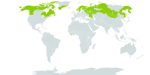 Luzula nivalis world distribution map, present in Canada, Finland, Greenland, Liberia, Mongolia, Norway, Russian Federation, Sweden, and United States of America