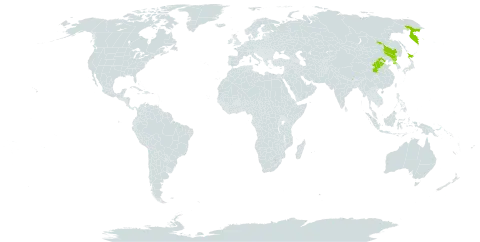 Luzula oligantha world distribution map, present in China, India, Japan, Nepal, Korea (Democratic People's Republic of), and Russian Federation