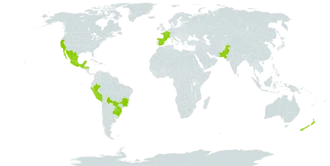 Lycianthes rantonnetii world distribution map, present in Argentina, Bolivia (Plurinational State of), Brazil, Spain, France, Guatemala, Honduras, Mexico, New Zealand, Pakistan, Peru, Paraguay, Uruguay, and United States of America