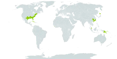 Lycopodiella caroliniana world distribution map, present in China, Cuba, Japan, Sri Lanka, Malaysia, Papua New Guinea, and United States of America