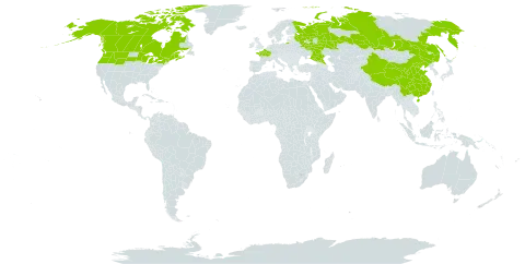 Lycopodium complanatum world distribution map, present in Canada, China, France, Russian Federation, and United States of America