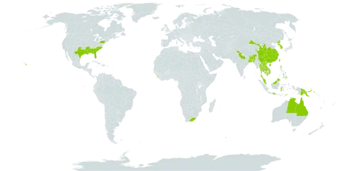 Lygodium japonicum world distribution map, present in Australia, Bangladesh, Bhutan, China, Indonesia, India, Japan, Cambodia, Korea (Republic of), Lao People's Democratic Republic, Sri Lanka, Malaysia, Nepal, Pakistan, Philippines, Papua New Guinea, Puerto Rico, Korea (Democratic People's Republic of), Singapore, Thailand, Timor-Leste, Taiwan, Province of China, United States of America, Viet Nam, and South Africa