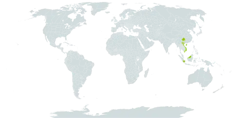 Lygodium merrillii world distribution map, present in China, Indonesia, Sri Lanka, Malaysia, Philippines, and Viet Nam