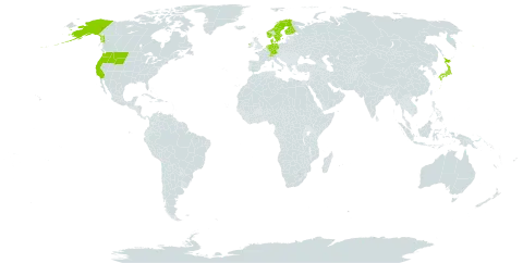 Lysichiton world distribution map, present in Switzerland, Germany, Denmark, Finland, Ireland, Japan, Netherlands, Norway, Sweden, and United States of America