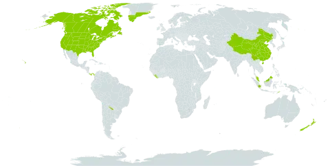 Lysimachia world distribution map, present in Argentina, Canada, China, Greenland, Indonesia, Liberia, Malaysia, New Zealand, Panama, Philippines, Timor-Leste, and United States of America