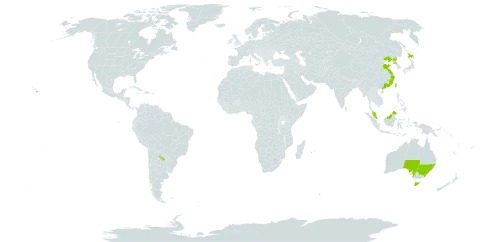 Lysimachia mauritiana world distribution map, present in Argentina, Australia, China, Guam, Japan, Northern Mariana Islands, Mauritius, Malaysia, Philippines, Korea (Democratic People's Republic of), Réunion, Taiwan, Province of China, and United States of America