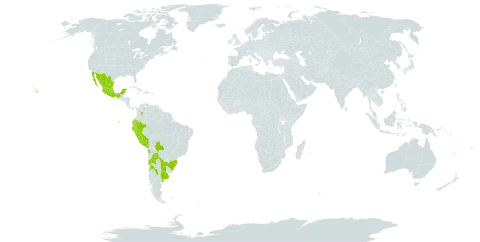 Lythrum maritimum world distribution map, present in Argentina, Bolivia (Plurinational State of), Brazil, Chile, Colombia, Ecuador, Mexico, Peru, Uruguay, United States of America, and Venezuela (Bolivarian Republic of)