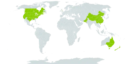 Lythrum salicaria world distribution map, present in Australia, Canada, China, France, United Kingdom of Great Britain and Northern Ireland, New Zealand, Pakistan, and United States of America