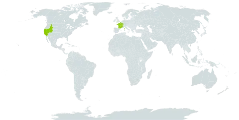 Lythrum tribracteatum world distribution map, present in France and United States of America