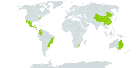 Macadamia integrifolia world distribution map, present in Australia, Belize, Brazil, China, Colombia, Costa Rica, Dominican Republic, Guam, Honduras, Mexico, Marshall Islands, Puerto Rico, Trinidad and Tobago, United States of America, and South Africa