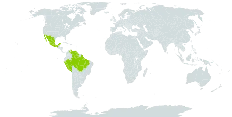 Machaerium inundatum world distribution map, present in American Samoa, Brazil, French Guiana, Guyana, Mexico, Peru, and Venezuela (Bolivarian Republic of)