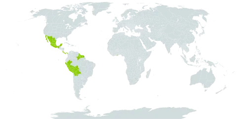 Machaerium kegelii world distribution map, present in American Samoa, Bolivia (Plurinational State of), Brazil, Costa Rica, Ghana, French Guiana, Guyana, Mexico, Panama, Peru, and Suriname