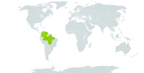 Machaerium quinata var. parviflorum world distribution map, present in Brazil, Colombia, French Guiana, and Venezuela (Bolivarian Republic of)