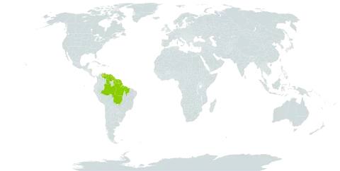 Machaerium quinata var. quinata world distribution map, present in American Samoa, Bonaire, Sint Eustatius and Saba, Brazil, French Guiana, Guyana, Suriname, and Venezuela (Bolivarian Republic of)