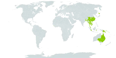 Maclura cochinchinensis world distribution map, present in Australia, Bangladesh, Bhutan, China, Indonesia, India, Iceland, Japan, Cambodia, Lao People's Democratic Republic, Sri Lanka, Myanmar, Malaysia, Nepal, Philippines, Papua New Guinea, Solomon Islands, Thailand, and Viet Nam