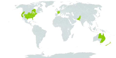 Maclura pomifera world distribution map, present in Australia, Canada, France, New Zealand, Pakistan, and United States of America