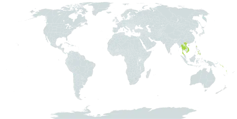 Macodes world distribution map, present in Philippines, Solomon Islands, Thailand, Viet Nam, and Vanuatu