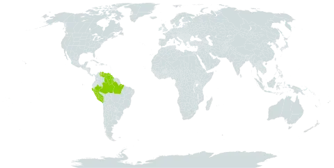 Macrolobium suaveolens world distribution map, present in American Samoa, Brazil, Guyana, Peru, and Venezuela (Bolivarian Republic of)