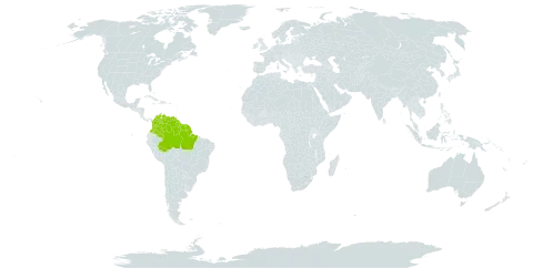 Macrosamanea pubiramea world distribution map, present in American Samoa, Brazil, Colombia, French Guiana, Guyana, Suriname, and Venezuela (Bolivarian Republic of)