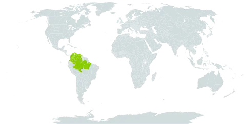 Macrosamanea pubiramea var. lindsaeifolia world distribution map, present in Brazil, Colombia, and Venezuela (Bolivarian Republic of)