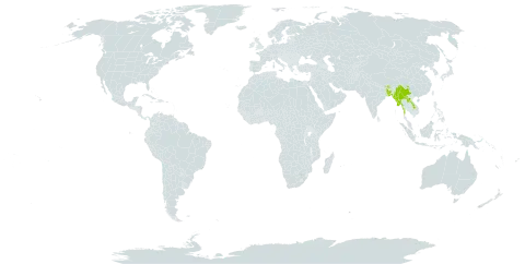 Maesa chisia world distribution map, present in Bangladesh, Bhutan, China, India, Lao People's Democratic Republic, Myanmar, and Nepal