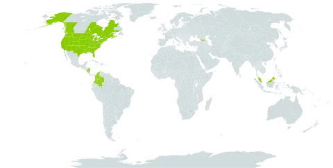 Maianthemum racemosum world distribution map, present in Åland Islands, Canada, Colombia, Micronesia (Federated States of), Georgia, Malaysia, Nicaragua, and United States of America