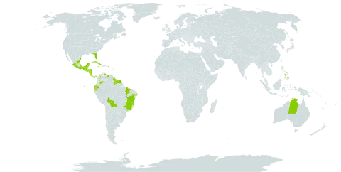 Malachra fasciata world distribution map, present in Antigua and Barbuda, Australia, Belize, Bolivia (Plurinational State of), Brazil, Barbados, Colombia, Costa Rica, Cuba, Ecuador, Guadeloupe, Grenada, Guatemala, French Guiana, Guam, Guyana, Honduras, Jamaica, Saint Lucia, Mexico, Montserrat, Martinique, Nicaragua, Panama, Philippines, Puerto Rico, El Salvador, Suriname, Trinidad and Tobago, United States of America, and Venezuela (Bolivarian Republic of)