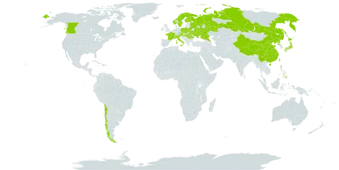 Malaxis monophyllos var. monophyllos world distribution map, present in Austria, Belarus, Canada, Switzerland, Chile, China, Czech Republic, Finland, France, Hungary, Italy, Japan, Montenegro, Norway, Philippines, Poland, Korea (Democratic People's Republic of), Romania, Russian Federation, Sweden, Taiwan, Province of China, and Ukraine