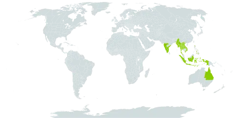 Mallotus resinosus world distribution map, present in Andorra, Australia, Indonesia, India, Lao People's Democratic Republic, Myanmar, Philippines, Thailand, and Viet Nam