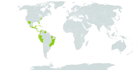 Malpighia emarginata world distribution map, present in Anguilla, Antigua and Barbuda, Bonaire, Sint Eustatius and Saba, Belize, Brazil, Barbados, Colombia, Costa Rica, Cuba, Cayman Islands, Dominica, Ecuador, Guadeloupe, Honduras, Jamaica, Saint Lucia, Mexico, Martinique, Panama, Peru, Puerto Rico, United States of America, Saint Vincent and the Grenadines, and Venezuela (Bolivarian Republic of)