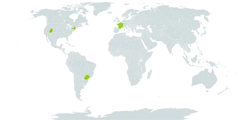 Malus sylvestris world distribution map, present in Brazil, France, United Kingdom of Great Britain and Northern Ireland, and United States of America